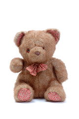 The bear, bear cub, toys.