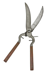 vintage poultry shears