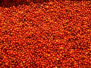 Preiselbeeren