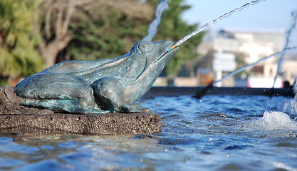 Fontaine, grenouille