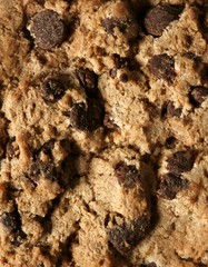 Chocolate cookie crop texture macro