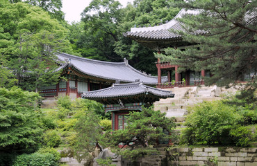 Obraz premium Changdeokgung Palace in South Korea.