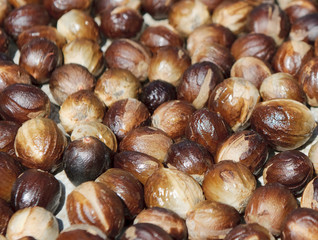 close up image of nutmeg