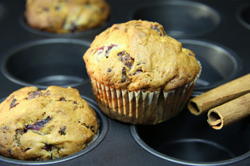 frisch gebackene Muffins