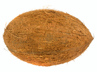 A coconut isolated over a white background.