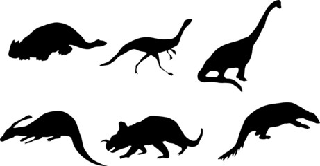 dino © Polina Maltseva