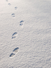 Snowsteps