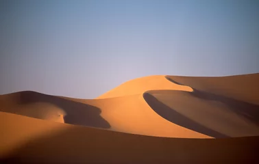 Deurstickers dune © MAURO