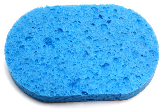 Blue Sponge