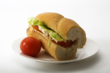 Cheese sandwich