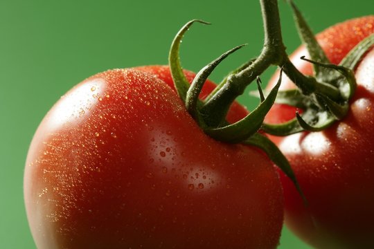 Red tomato macro over green background