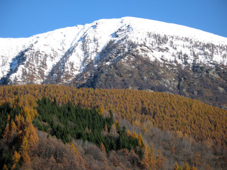 Bognanco