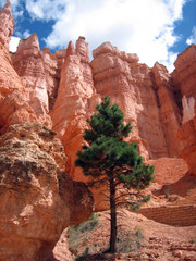 Usa bryce canyon