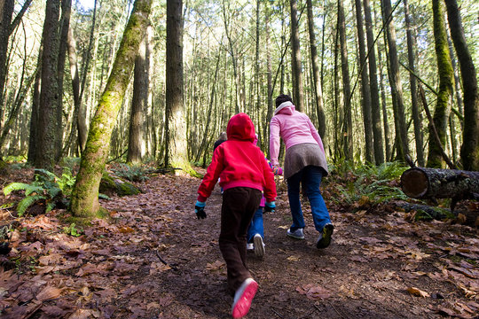 Nature Hike Up Hill