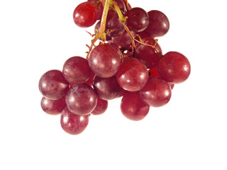 Frische Trauben