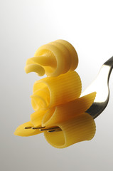 Pasta corta italiana