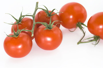 Fresh ripe red tomatoes