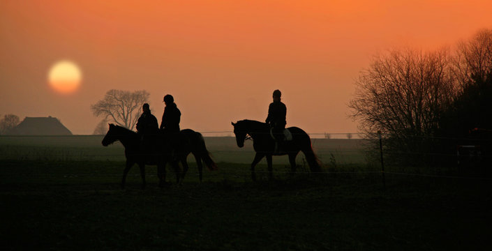 Reiter in der Abendsonne