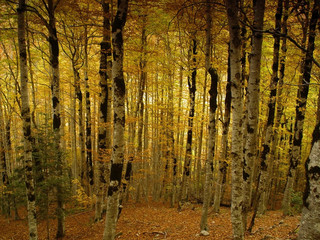 Parque Nacional de Ordesa