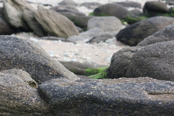 rocks on a beach in brittany