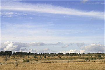 Fototapeta premium Hohes Venn 2