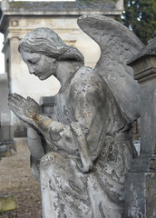 Angel statue in a cemetery