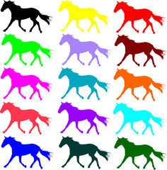 horse color vector silhouettes