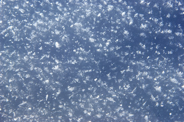 neve
