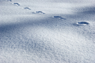 neve