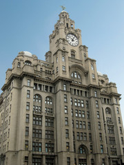 Liverpool, Royal Liver Building