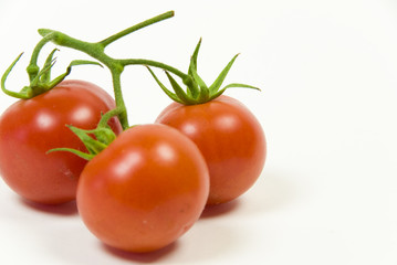 fresh organic vine tomato on a white background
