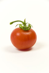 fresh organic vine tomato on a white background