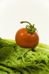 freshly picked organic baby cos lettuce and vine tomato