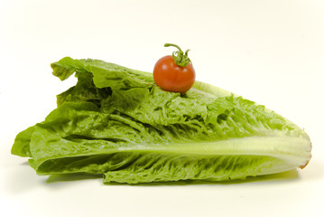 freshly picked organic baby cos lettuce and vine tomato