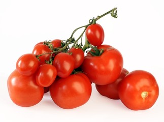 various tomatoes