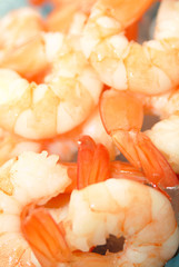 Garnelen auf Eis