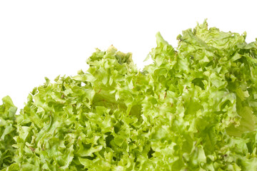 Still-life with vegetables