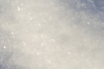 Obraz premium Snow