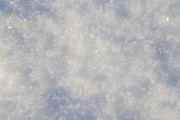 Fototapeta premium Snow