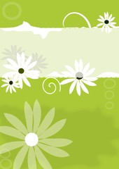 floral background