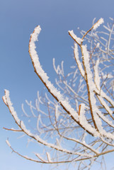 Winterwetter