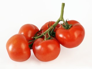 tomatoes