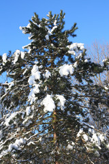 Winterlandschaft im Ruhrgebiet