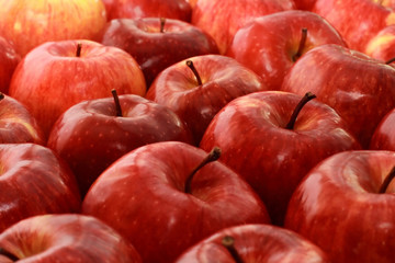 apples
