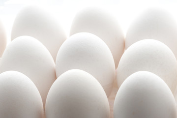 Eggs