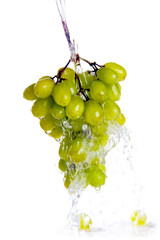 Fresh grapes under drops of water, isolated