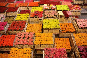 Flowers at the clock auction