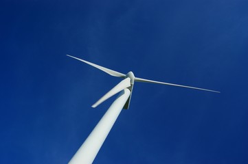 Windrad