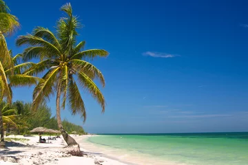 Abwaschbare Fototapete Karibik Tropischer Strand