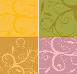 Floral Design Elements Set